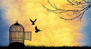 cos'è la libertà