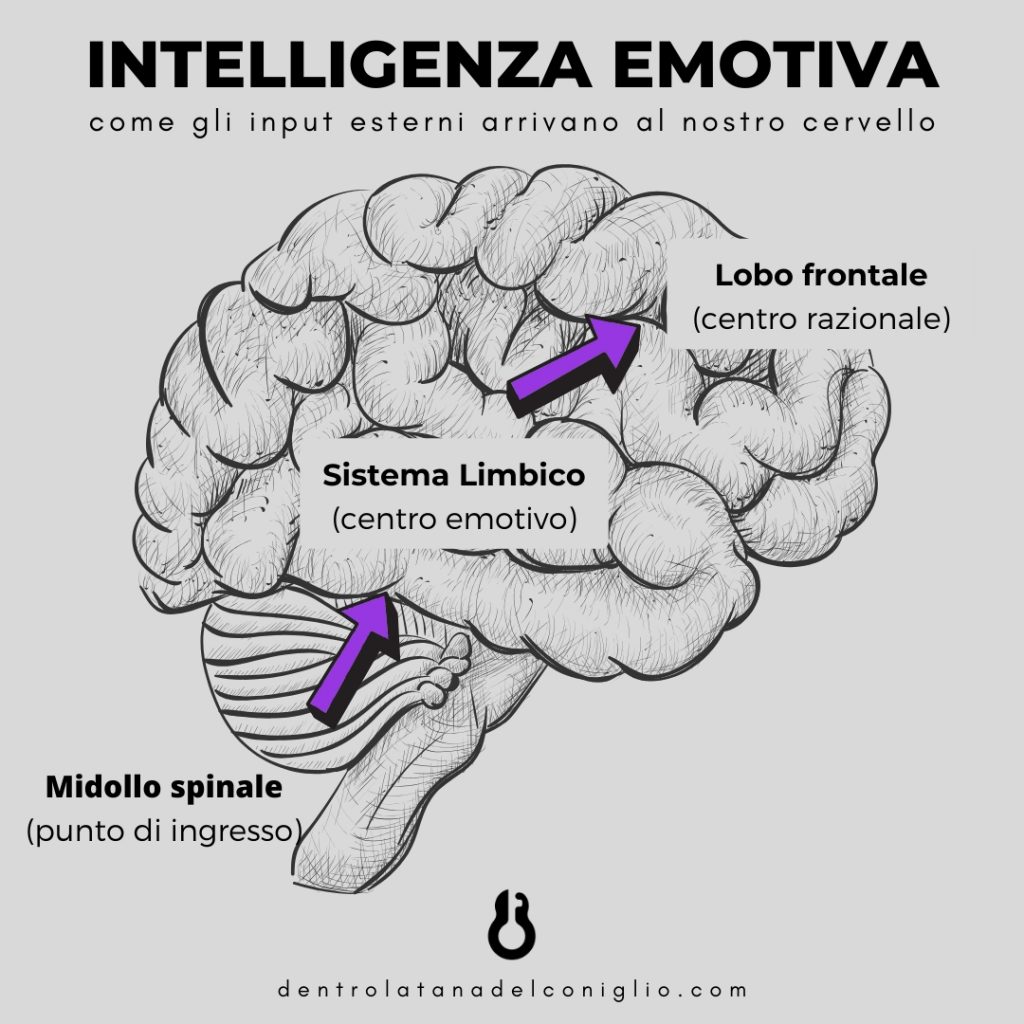 intelligenza emotiva 